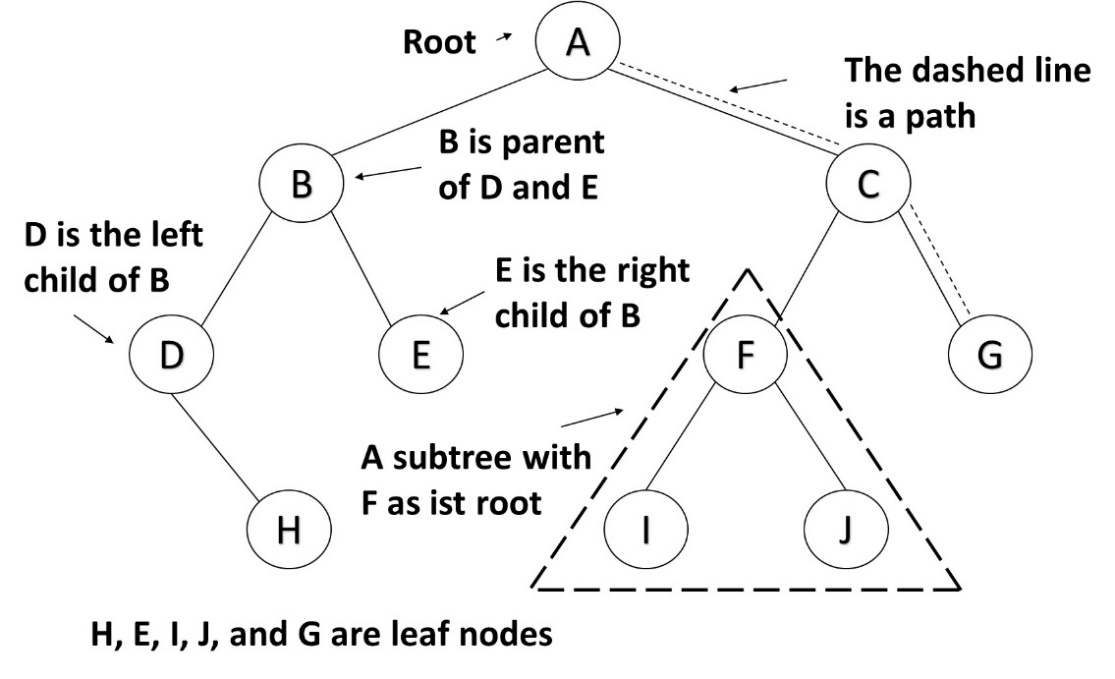Binary tree structure with root children and leaves